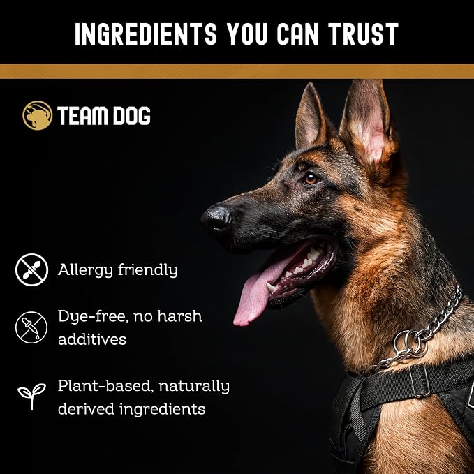 TEAM DOG 5 in 1 Oatmeal Shampoo for Dogs | Moisturizing, Detangling & Deodorizing Dog Shampoo and Conditioner | for Allergies & Sensitive Skin | Plant-Based Blend with Natural Ingredients | 16 Fl Oz