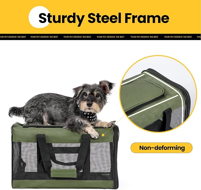 Conlun Dog Carrier Soft Sided, Large Cat Carrier with Inner Safety Leash, Pet Transport Carrier for Large Cats and Medium Dogs up to 20 Lbs, Collapsible Travel Puppy Carrier Bag -Green L