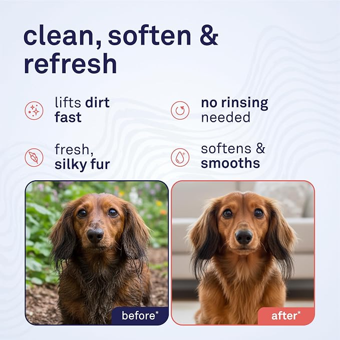 Petpost | Waterless Argan Oil Dog Shampoo Spray. Rinse-Free Cleaner & Deodorizer with Aloe & Safflower Oil. Moisturizes Skin & Softens Coat. 8 oz