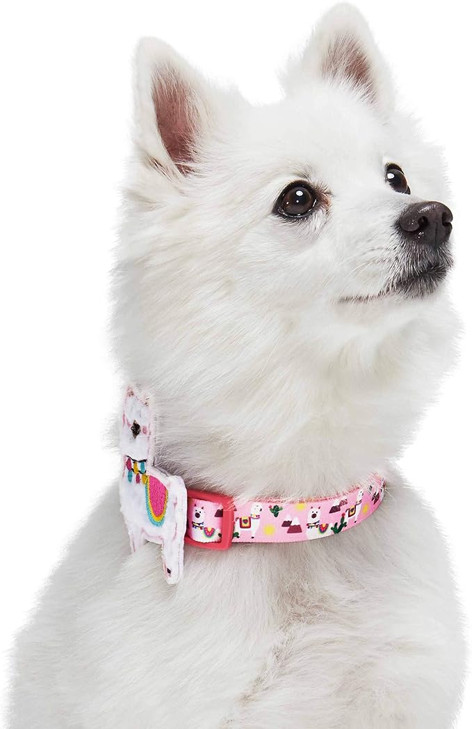Blueberry Pet Happy Llamas Adjustable Dog Collar with Detachable Décor, Small, Neck 12"-16"