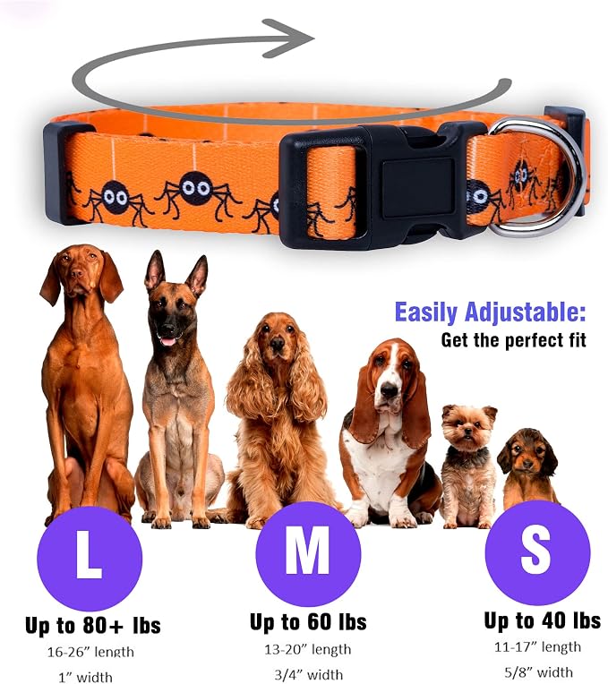 Native Pup Halloween Dog Collar- Spooky Fall Themed Horror Costume Collars- Skull, Pumpkin, Ghost, Bat, Witch, Candy Corn, Spider- Adjustable for Small, Medium, Large Breeds (Small, Spiders)