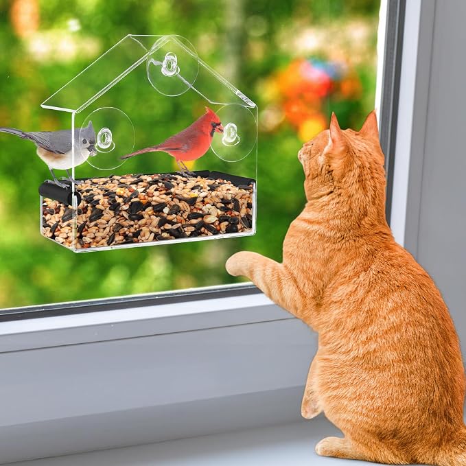 MEWTOGO Outdoor Window Bird Feeder for Cats Viewing, Small | Clear Bird Feeder with Strong Suction Cup, Cat Perch Accessories for Entertaining Watching