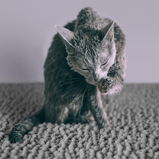 CatGuru Cat Litter Mat, Medium, Extra Large, XXL, Waterproof Litter Box Mat, Non Slip Kitty Litter Mat, Machine Washable Litter Trapping Mat, Soft Litter Tray, Cat Stuff (Medium, Gray/Heavy-Duty)