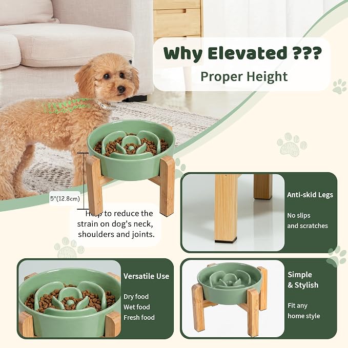 Elevated Slow Feeder Dog Bowl - Ceramic Maze Food Dish with Bamboo Stand - Raised Feeding Bowl for Fast Eaters Small and Medium Dogs - Green