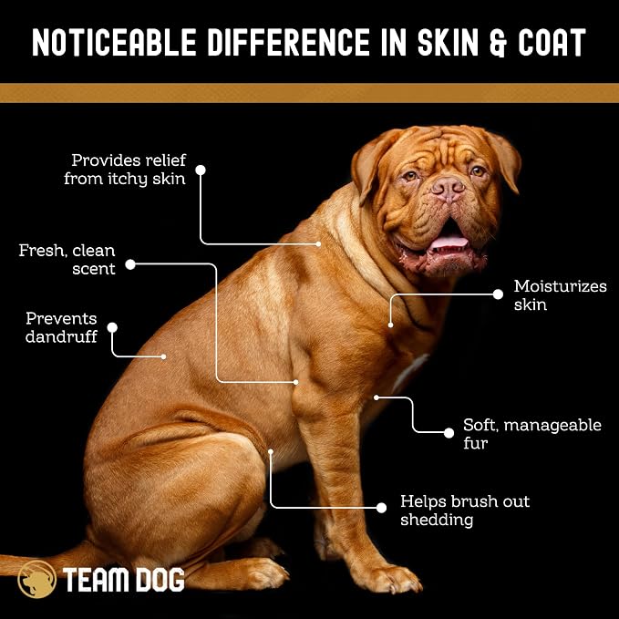 TEAM DOG 5 in 1 Oatmeal Shampoo for Dogs | Moisturizing, Detangling & Deodorizing Dog Shampoo and Conditioner | for Allergies & Sensitive Skin | Plant-Based Blend with Natural Ingredients | 16 Fl Oz