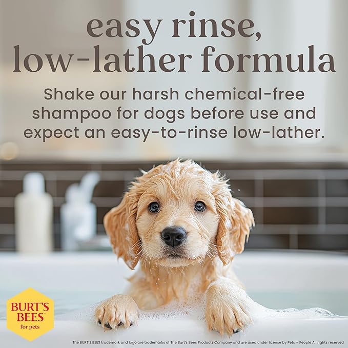 Burts Bees Tearless Shampoo & Conditioner with Buttermilk, 16 Fl Oz, 6-Pk | Gentle 2-in-1 formula cleans and conditions sensitive puppy skin and coat, tearless for easy bath time