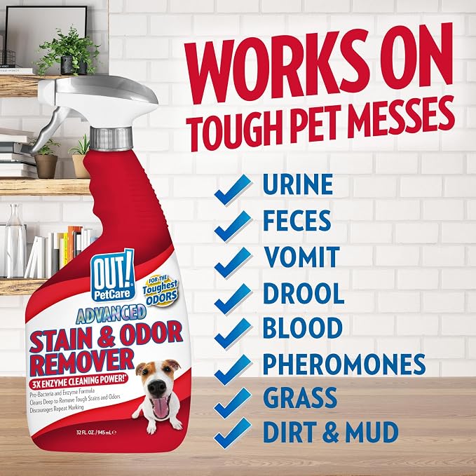 OUT! PetCare Pet Stain & Odor Remover, Carpet Cleaner, 32oz (2 Pack) | Dog Stain & Odor Remover, Pet Odor Eliminator, Floor Cleaner, Dogs & Cats, Carpet Cleaner, Cat Stain Remover, Made in USA