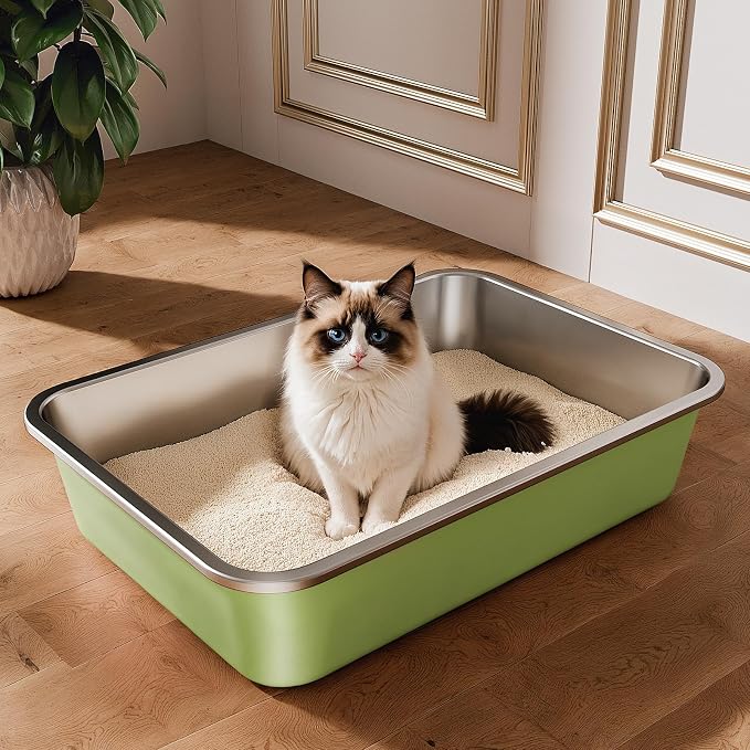 Qiuma Stainless Steel Litter Box, Large Metal Cat Litter Box with High Sided for Big and Small Cats, Non-Stick, Easy to Clean, Odor-Free, 19.5" L×13.6" W×3.9" H, Leaf Green