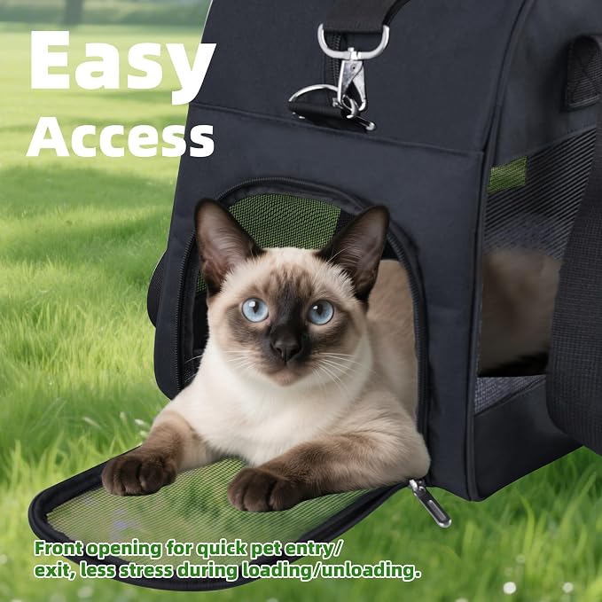 Cat Carrier for Small Cats Dogs, Soft-Sided Pet Carrier for Cats Puppies Small Pets, Lightweight Comfortable Travel Cat Dog Carrier (Black)