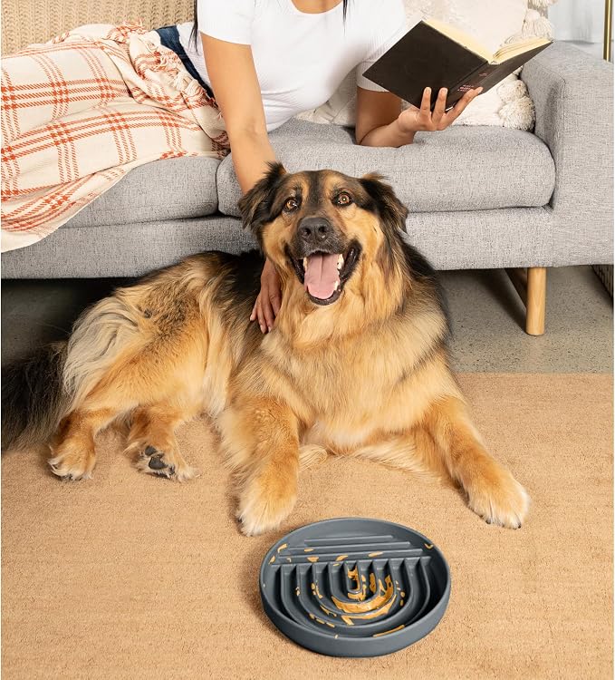 Should We Go? Slow Feeder Dog Bowls - Large Size Silicone Slow Eating Dog Bowl for Puppies & Dogs with Suction Cup -Dishwasher-Safe, Lick Mat Design, Reduces Gulping,for All Breeds,9.5”x1.5”-Charcoal
