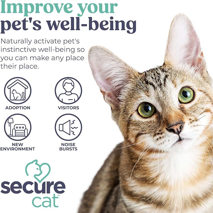 SIGNS SecureCat Pheromone Home Stick Diffuser Refill, Provides 30 More Days of Natural Support for an Environment of Calm and Well-Being, Helping Relieve Any Feeling of Anxiety and Stress