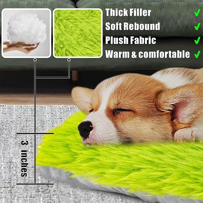 Machine Washable Dog Bed, Deluxe Plush Dog Crate Pad and Cat Bed, Anti-Slip Bottom Kennel Pad Mat, Fuzzy Pet Beds for Large, Medium, Small Dogs Breeds (Grass Green, 24.0"L x 18.0"W x 3.0"Th x 2 PACK)