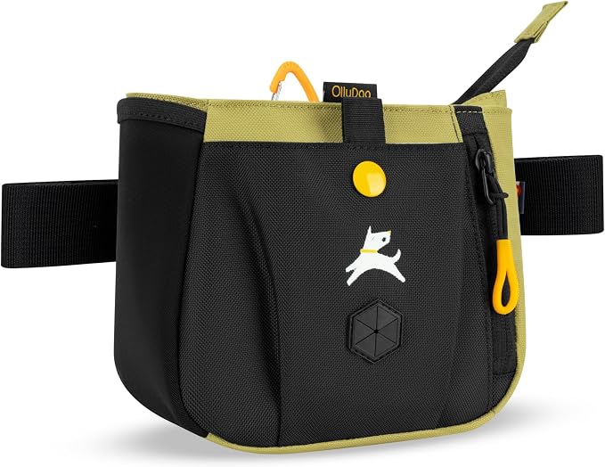 Backcountry Day Bag | Dog Training Treat Pouch | Eco-Friendly Recycled Fabric Fanny Pack with Zipper Closure, Built-in Poop Bag Dispenser & Adjustable Waist Belt (Alchemy)