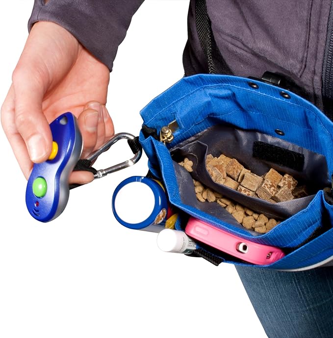PetSafe Dog Treat Pouch Sport, Cadet Blue, Standard, 7.5 in L x 6.5 in H | Water & Stain-Resistant Training Pouch with Divided Treat Pocket, Belt Clip & Carabiner for Keys or Bags, Machine Washable