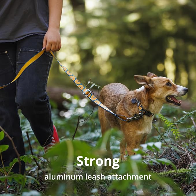 Ruffwear, Crag Dog Collar, Stylish Adventure Collar with Premium Reflective Design, Quick Release Buckle, Lightweight All-Day Comfort, Alpine Dusk, 11"-14"