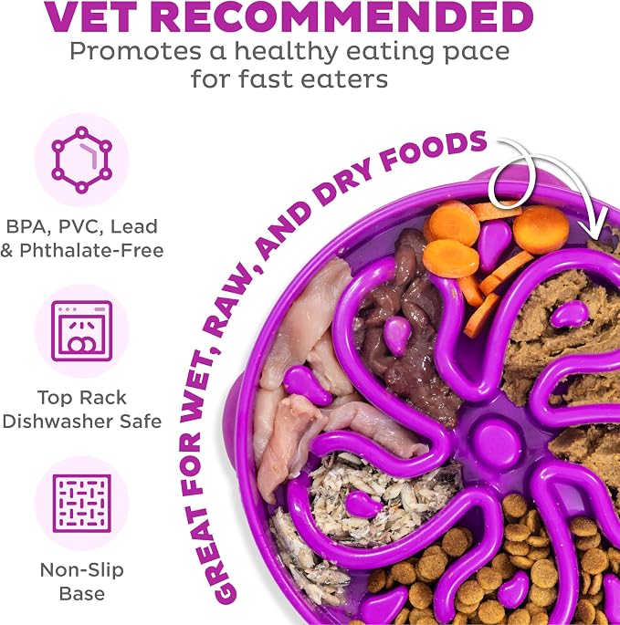 Outward Hound Fun Feeder Slo Bowl – Large 4‑Cup Capacity, Slow Feeding, Medium to Large Dogs, Non‑Slip, Purple, Flower Pattern