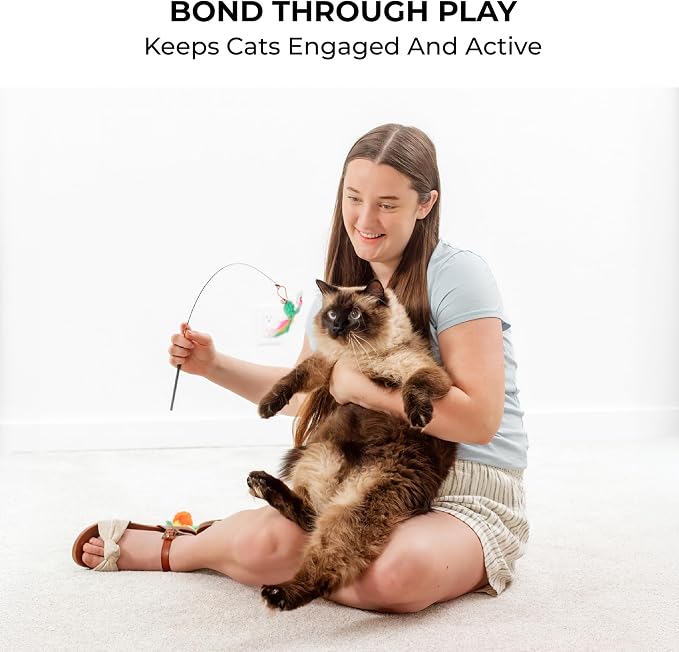 Feather Wand Teaser Cat Toys 18-Piece Simulation Toys for Indoor Cats, Cat Stuff Self-Holding Floor Base & Suction Cup, Bird Simulation Self Play Kitten Toys for Bored Adult Cats