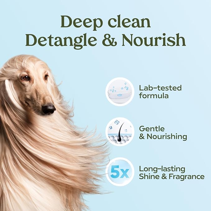 PAWFUME Dog Shampoo and Conditioner, Blue Ribbon, 4-Pack | Probiotic pH-balanced formula nourishes, detangles and deep cleans for silky coat, Puppy Shampoo and Conditioner