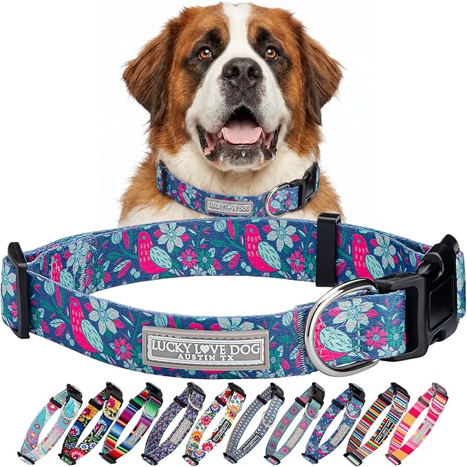 Lucky Love Dog - Adjustable Dog Collar with Easy Click Buckle for Large Dogs, Durable, & Comfortable for Male & Female Dogs, Pet Collar for Puppies & Adult Ones - Carriebelle, XL