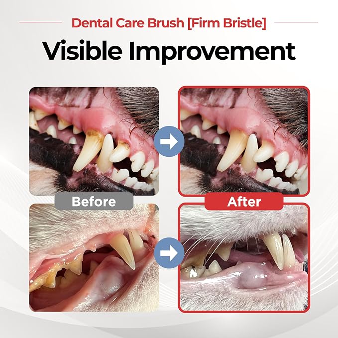 JAYU PET Dental Care Brush, Firm Bristles, 1ea | Resilient Dog Toothbrush, Cat Toothbrush, Tartar & Plaque Removal, Horizontal Head, S-Curved Body