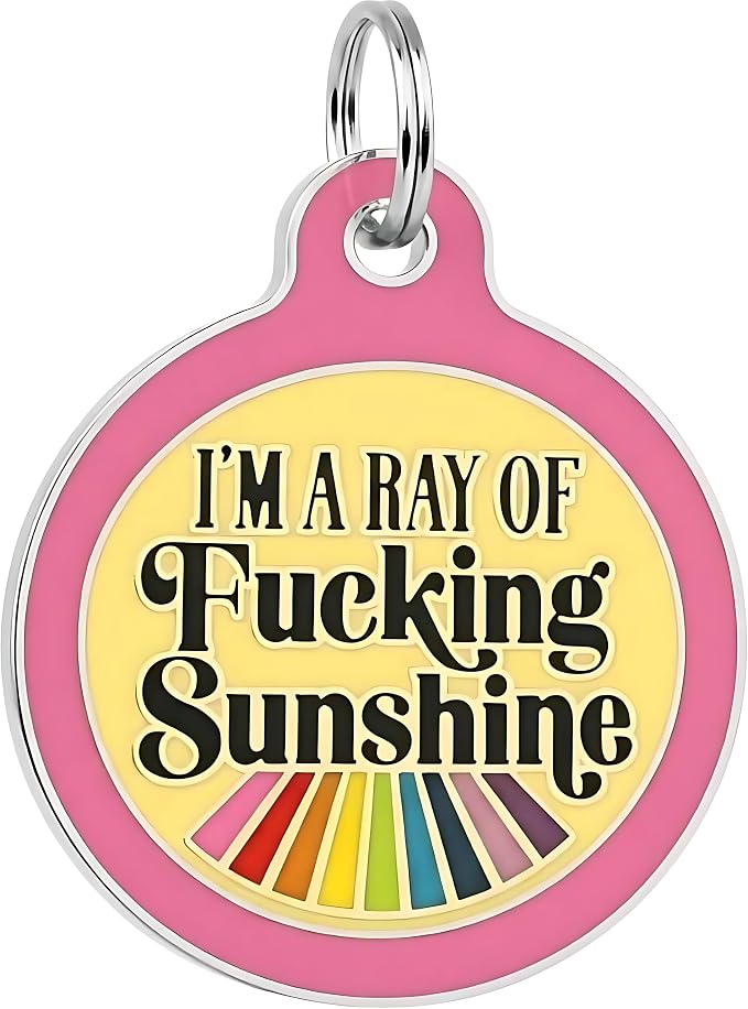 Bad Tags Personalized Dog and Cat ID Tags in 25+ Designs and 2 Sizes - 5 Lines of Custom Engraved Text - Funny Cute Personalized Pet Tags (I'm A Ray of F*cking Sunshine - Pink, Large (1.25 inch))