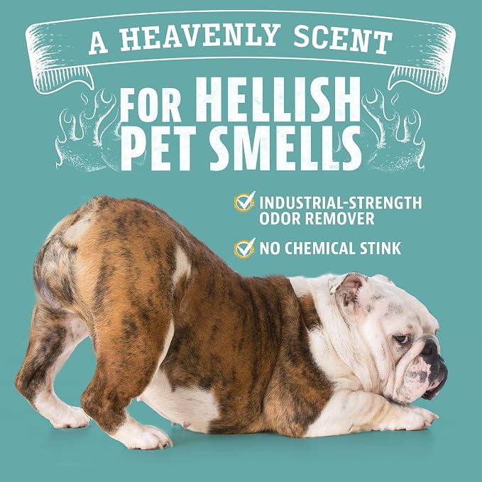 Angry Orange Pet Odor Eliminator 8 oz. bottle- Industrial Strength Pet Odor Remover - Makes (4) 32oz. Bottles - 1 Gallon - Neutralizes and Sanitizes Tough Pet Odors Fast