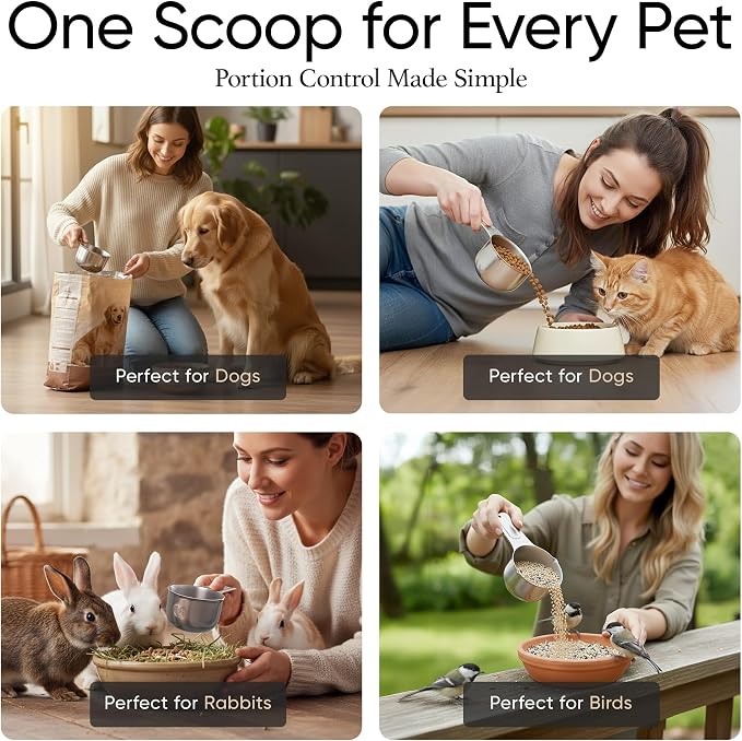 Color Up ¾ Cup Pet Food Scoop – Stainless Steel Dog Food Scoop Cup (12 Tbsp) – Heavy-Duty, Rust-Resistant Measuring Scoop for Dogs, Cats, Birds & Rabbits – Ideal for Dry Food & Treats