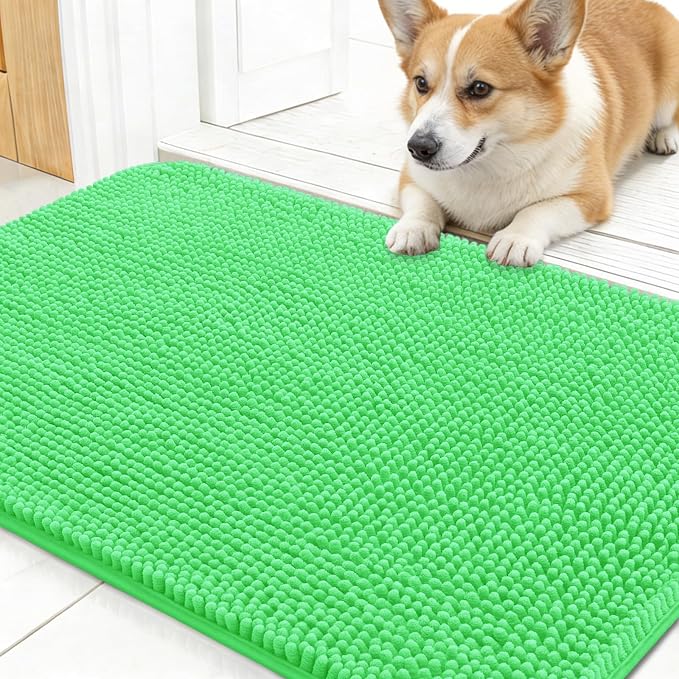 OLANLY Dog Door Mat for Muddy Paws 24x16, Super Absorbent Chenille Mud Mat | Mint Green, Absorbs Moisture and Dirt, Non-Slip Machine Washable Doormat, Quick-Drying Indoor Entryway Floor Carpet for Dogs