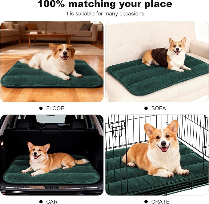 pobopobo Dog Crate Pad, Ultra Soft & Anti-Slip Kennel Mat, Secure Fit for Metal Crates & Dog Cages, Washable Cozy Bed for Small Medium Large Dogs (Green, M(28"*16"*1.5"))