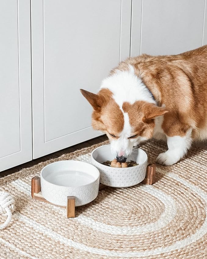 LE TAUCI Dog Bowl Set with Acacia Wood Stand - 1.8-Cup Ceramic Puppy Bowls for Small Dogs, Dual Food and Water Bowls with Weighted Non-Slip Base