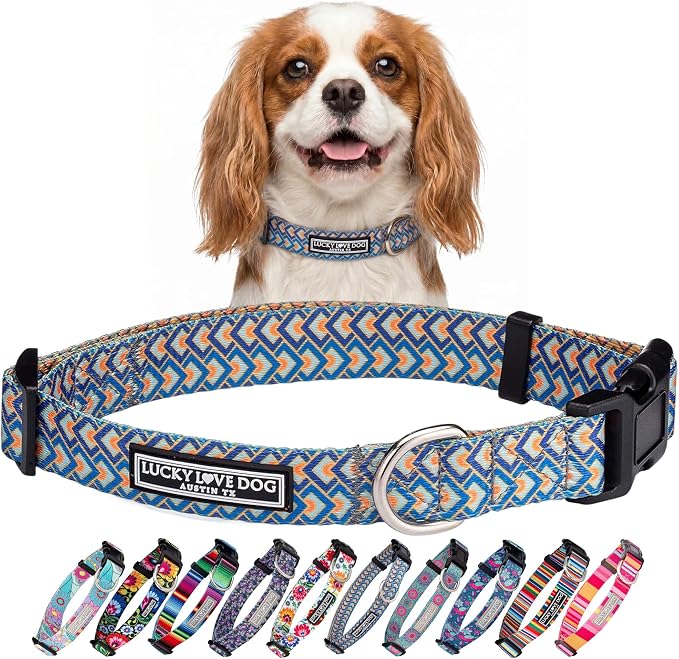 Lucky Love Dog Collars, Comfortable, Soft, Cute Dog Collar for SmallDogs, Murphy, Small