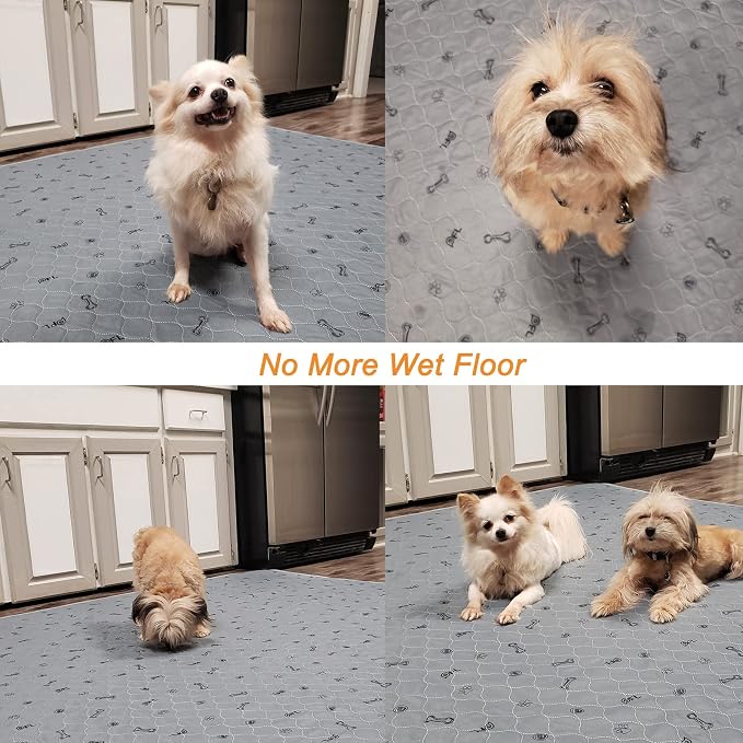Washable Pee Pads for Small Pet, 2 Pack Reusable Pet Training Pads, 36x71 | Non-Slip, Absorbent Whelping Mats with Bone Print for Rabbit, Guinea Pig, Hamster, Puppy, Senior Dog Incontinence