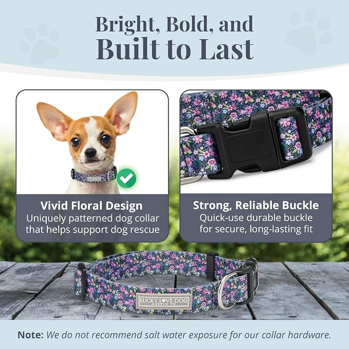 Lucky Love Dog, Comfortable, Soft, Cute Female Dog Collar for Tiny Dogs, Black & Purple Floral Print, Adjustable Nylon Collar, Primrose, X-Small