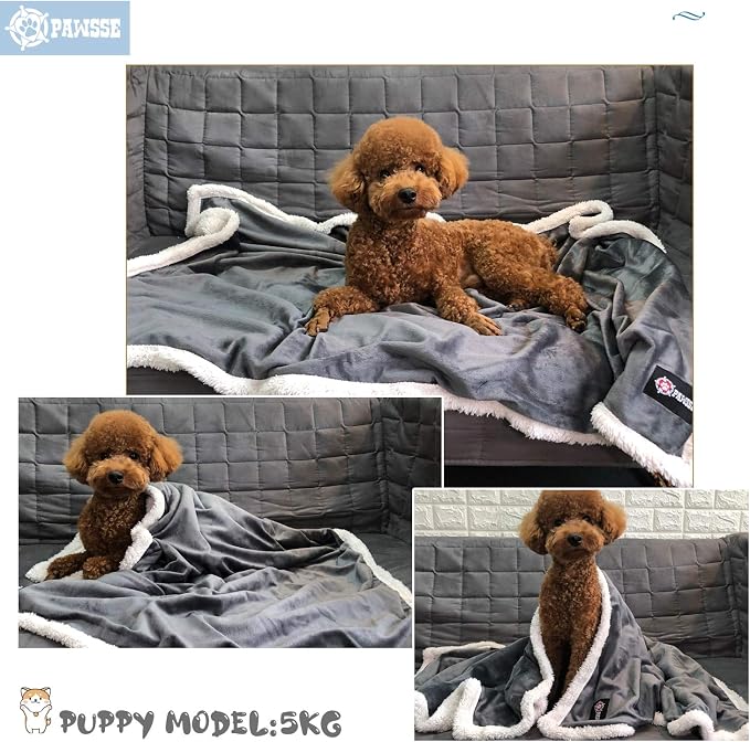 Kritter Planet Dog Blankets for Small Dogs, Soft Puppy Blanket, Pet Blankets for Cats, Lightweight & Washable, Perfect for Dog Beds, Car Seats, Creat, 30x40 inches