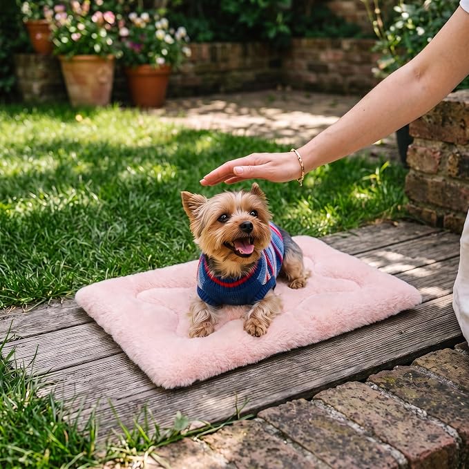Dog Bed 22" for Metal Crate Pad, Washable Kennel Mat for Small Puppy & Cats | Soft faux rabbit fur, non-slip,machine wash/dry, plush cushioning, for crates, floors & travel, multiple sizes for all breeds