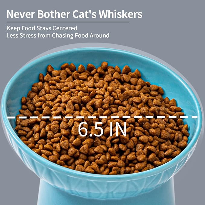 6.5 Inch Wide Ceramic Raised Cat Bowls, Tilted Elevated Cat Food Bowl Set | Prevent Neck, Whisker Fatigue, Anti Vomit, for Elder Big Cats & Small Dogs, Dishwasher and Microwave Safe, 2 Pack