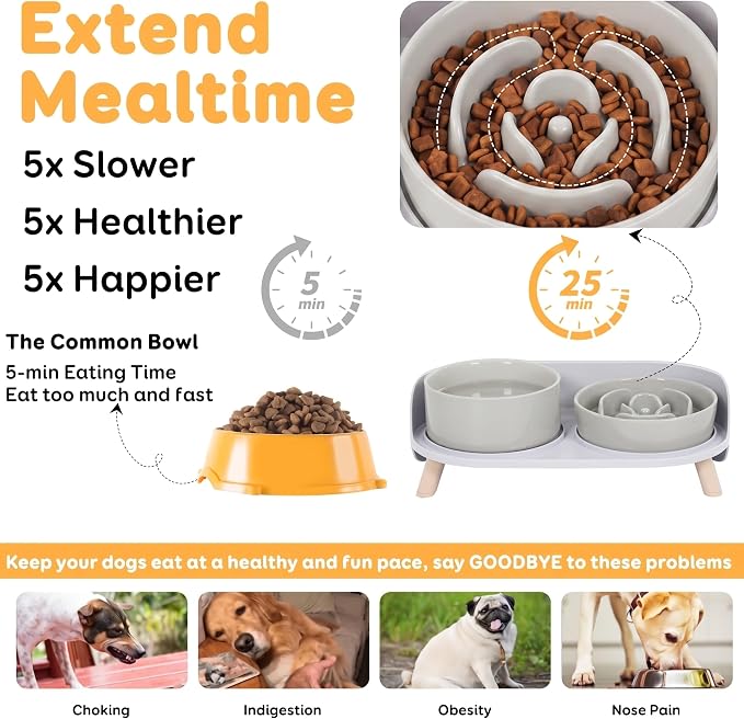 Elevated Slow Feeder Dog Bowls - Ceramic Food and Water Bowl Set with Stand - Raised Pet Dishes for Small and Medium Sized Dogs