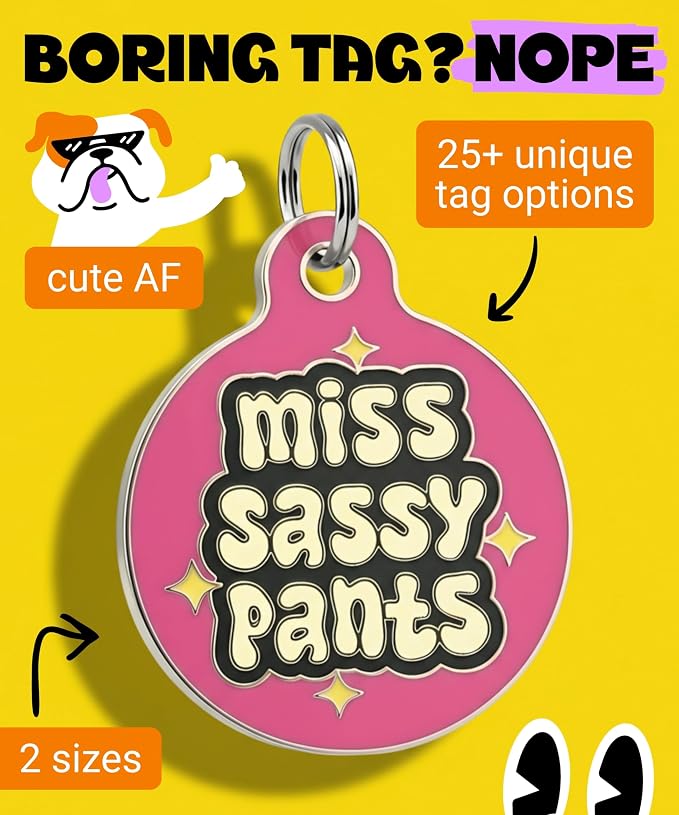 Bad Tags Personalized Dog and Cat ID Tags in 25+ Designs and 2 Sizes - 5 Lines of Custom Engraved Text - Funny Cute Personalized Pet Tags (Miss Sassy Pants, Small (1 inch))