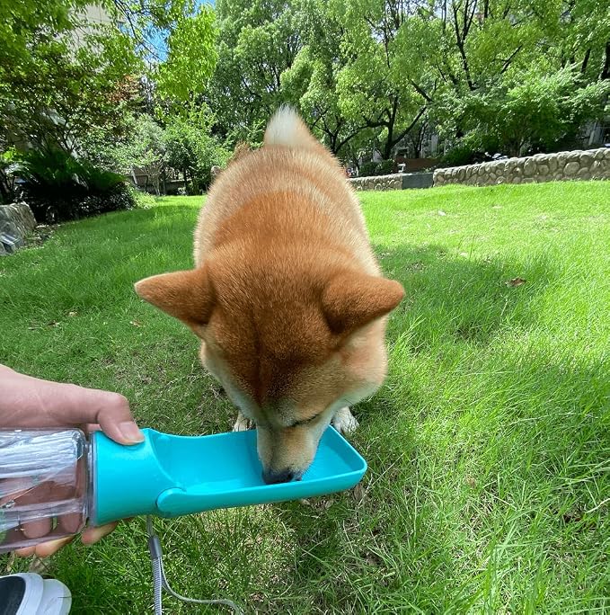 WePet Foldable Portable Dog Water Bottle Puppy Water Dispenser with Drinking Feeder, 12 OZ, High-Temperature Resistant Leak Proof for Pets Outdoor Walking, Hiking, Travel, Food Grade Plastic BPA Free