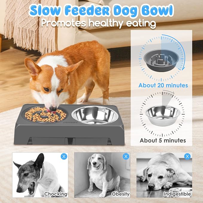 URPOWER Raised Dog Bowls 4 Height Adjustable Elevated Bowl Stand | Stainless Steel Water Bowl Non-Slip Dog Food Bowls Stand for Small Medium Large Dogs and Pets