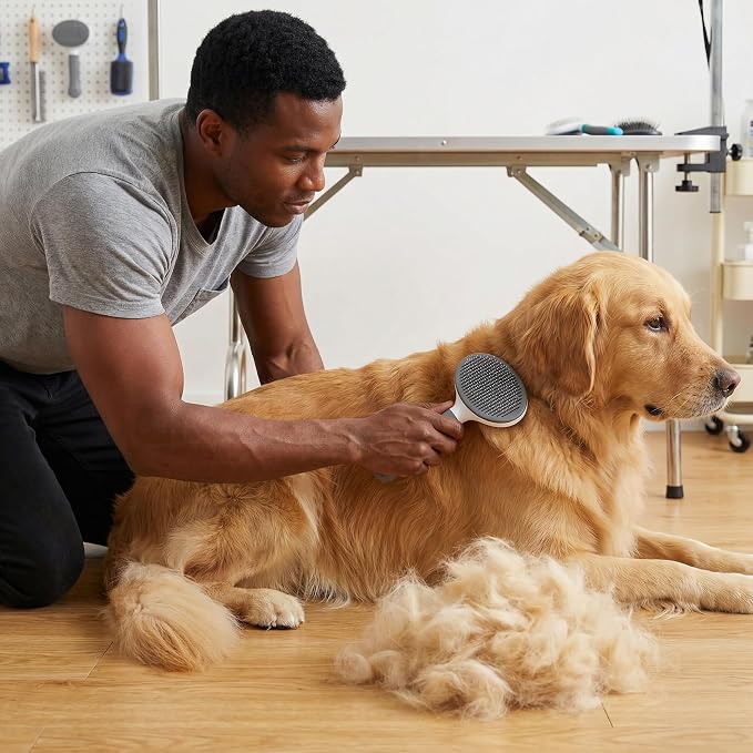 Cat Brush for Shedding for Indoor Cats & Dog Brush for Shedding - Perfect for Long & Short Haired Pets,Pet Brush for Dogs and Cats - Deshedding & Grooming Tool (Blue)