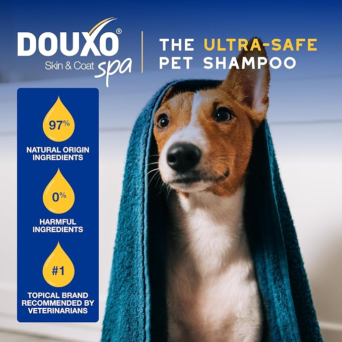 DOUXO SPA Oatmeal Dog Shampoo, 16 fl oz | Moisturizes the Skin, Leaves the Coat Soft and Radiant, Ultra-Safe