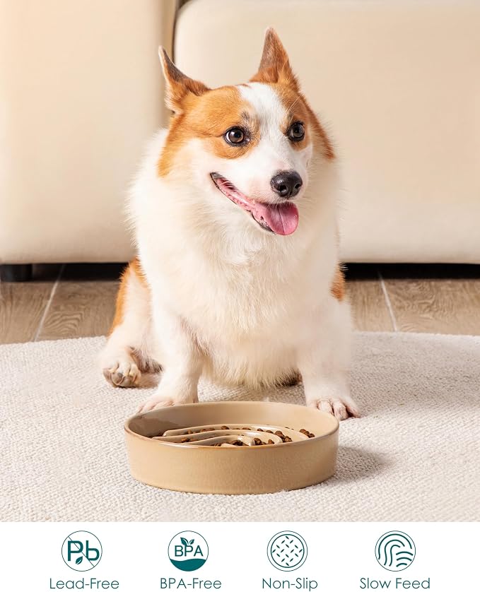 vancasso Slow Feeder Dog Bowl, 1.5 Cup Ceramic Slow Feeding Food Dish for Small and Medium Breed, Puzzle Dog Food Bowl for Fast Eater, Brown