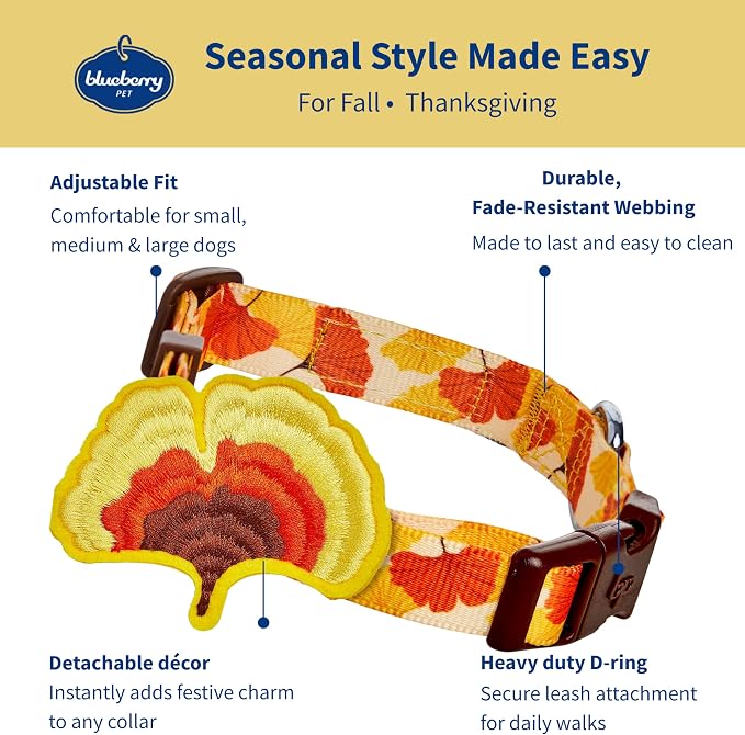 Blueberry Pet Dog Collar - Thanksgiving Fall Ginkgo Biloba Leaf Adjustable Puppy Collar, Medium 14.5"-20" - Perfect Dog Collars for Small Dogs, Holiday Enthusiasts & Family Photos
