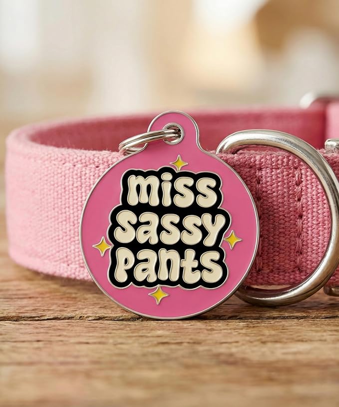 Bad Tags Personalized Dog and Cat ID Tags in 25+ Designs and 2 Sizes - 5 Lines of Custom Engraved Text - Funny Cute Personalized Pet Tags (Miss Sassy Pants, Small (1 inch))