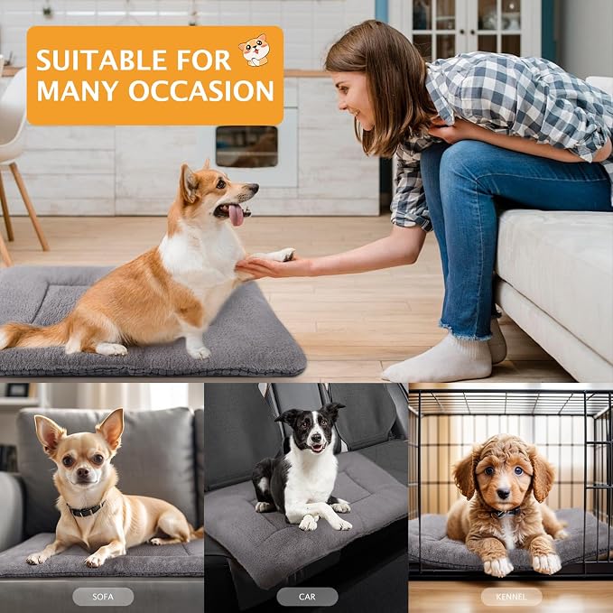Reversible Dog Bed Mat with Plush and Corn Velvet,Soft Warm Pet Cushion, Dual Purpose Washable Sleeping Mattress Bed for Small Medium Large Dog and Cat XB004 (30"x20", Light Grey)