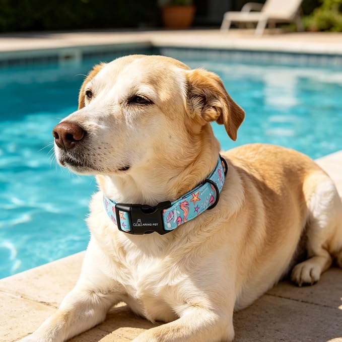ARING PET Summer Dog Collar, Cute Blue Starfish Seahorse Doggy Collars for Puppy Small Medium Large Boy Girl Dogs Pet, for Daily Photos Outdoor Beach Walking Picnic, L