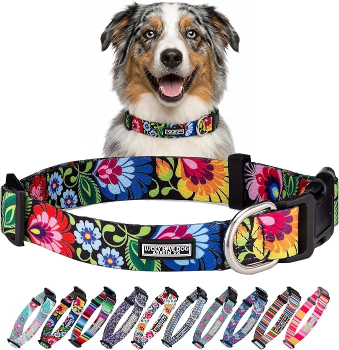 Lucky Love Dog - Adjustable Dog Collar with Easy Click Buckle for Medium, Durable, & Comfortable for Male & Female Dogs, Pet Collar for Puppies & Adult Dogs - Blackbird, Medium