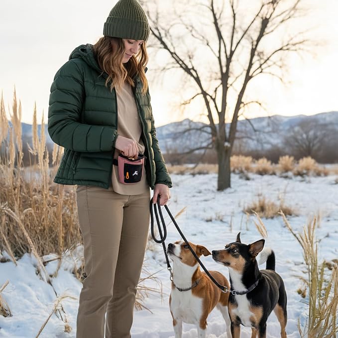 Goodie Treat Bag, Dog Treat Training Pouch | Magnetic Closure | 3 Ways to Wear | Hands-Free Waist Belt | Water-Resistant Recycled Vegan Fabric (Desert)