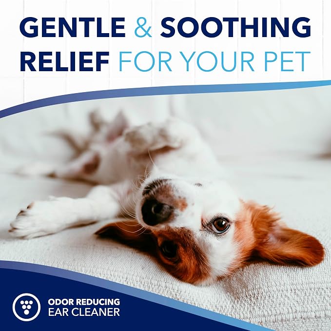 TropiClean OxyMed Preventative Dog Ear Cleaner, Vet Recommended Ear Cleaning Solution for Itch Relief, Daily Wash Drops, Safe for Cats, USA Made, 4oz.